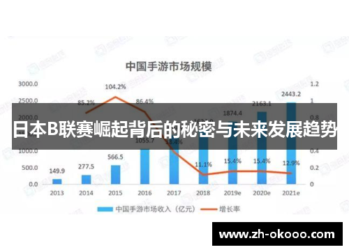 日本B联赛崛起背后的秘密与未来发展趋势